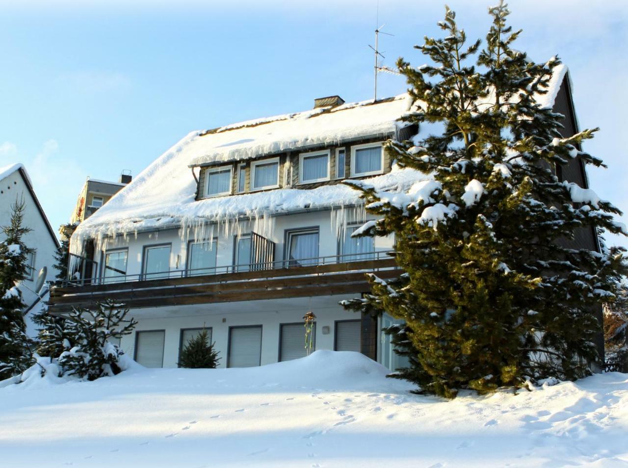 Komfort-Fewo Ettelsberg-Panorama Willingen  Δωμάτιο φωτογραφία